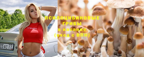 дмт Навашино