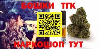 индика Обь