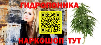 a pvp Обнинск