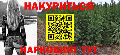 индика Обь