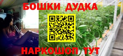 индика Обь