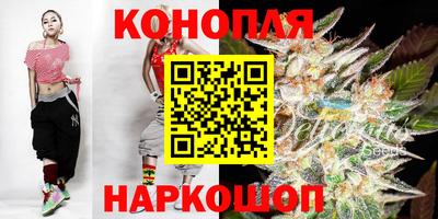 индика Обь