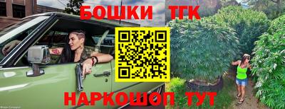 индика Обь