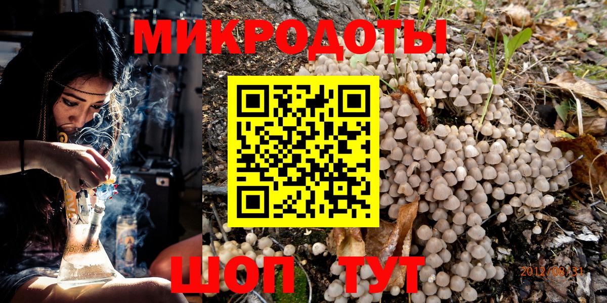 Галлюциногенные грибы Psilocybe  продажа наркотиков  Родники 
