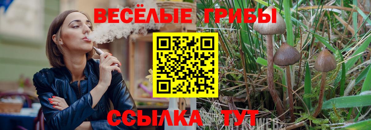 Галлюциногенные грибы Psilocybe Родники